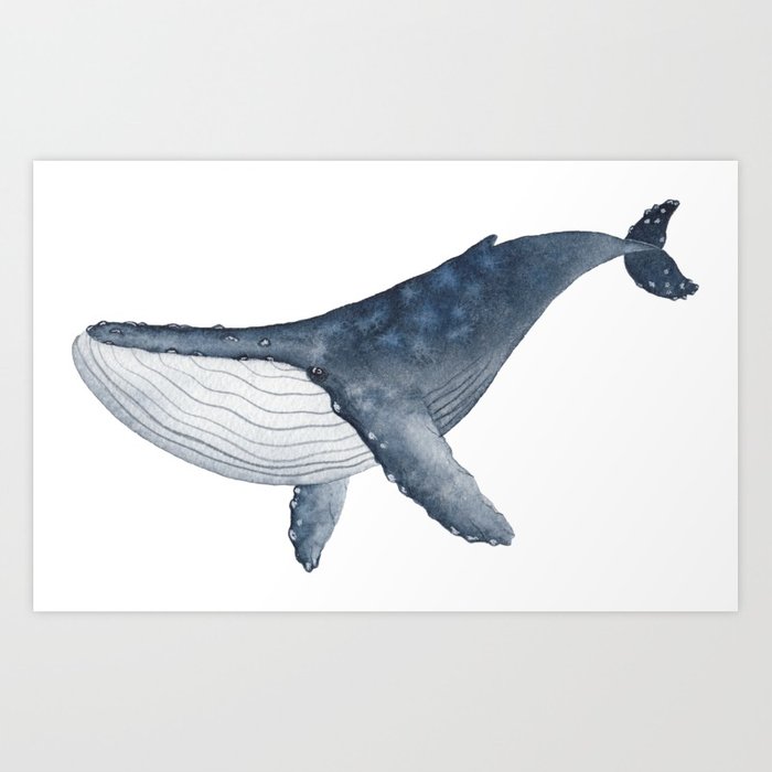 700x700 Humpback Whale Watercolor Art Print By Sj Artworks Society6