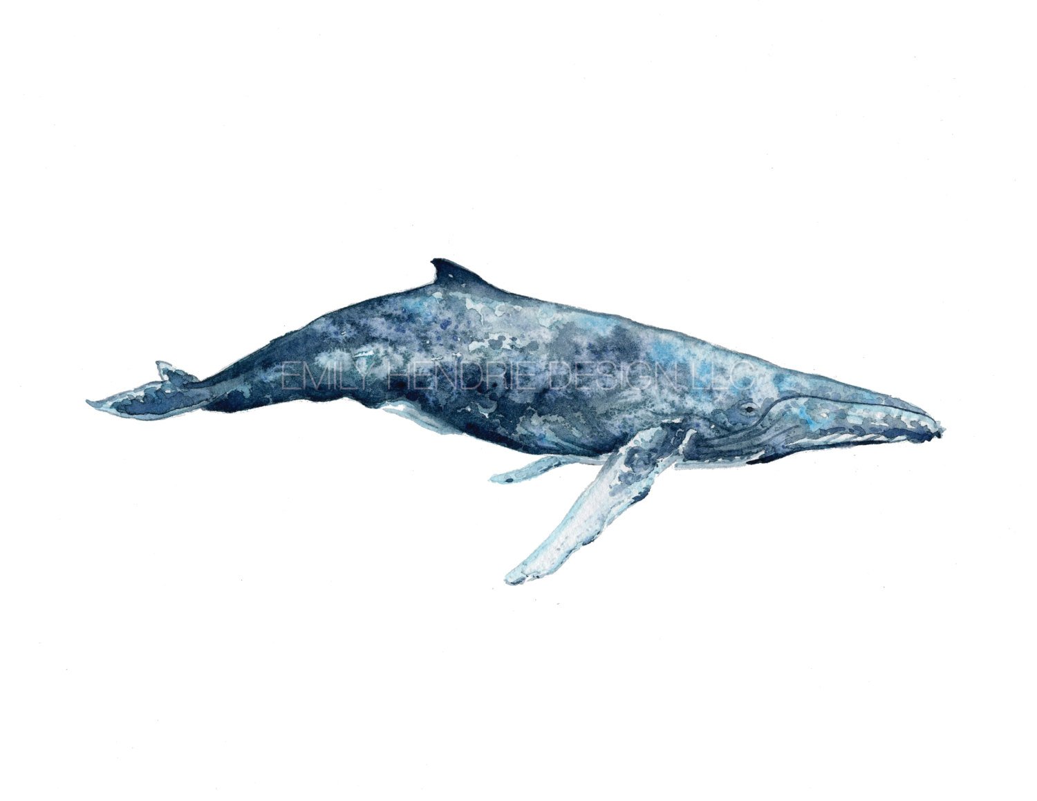1500x1159 Watercolor Humpback Whale Print Watercolor Whale