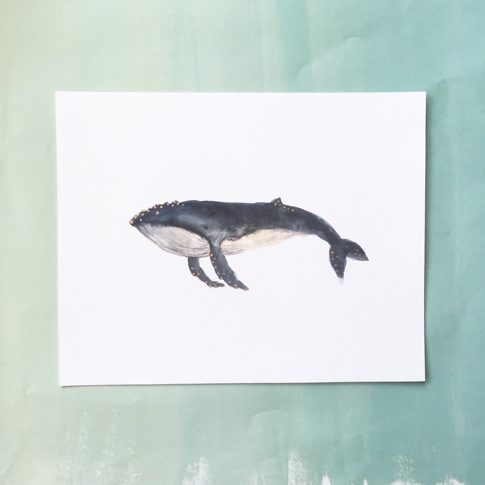 1000x1000 Watercolor Humpback Whale With Hand Painted Gold Foil Accents