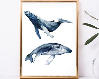 340x270 Watercolor Whale Etsy