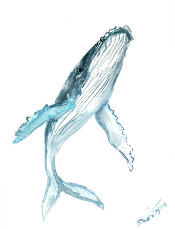 570x746 Humpback Whale, Original Watercolor Painting, 12 X 9 In, Vertical