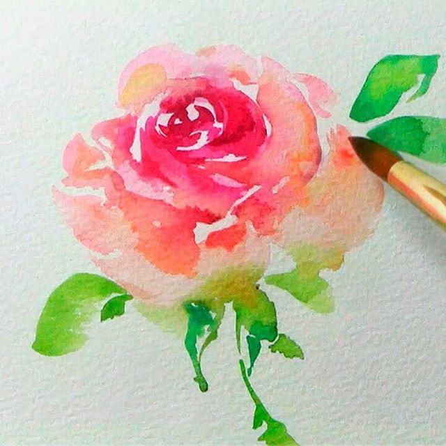 640x640 Watercolor Ideas Painting Techniques Art Tutorials Watercolor