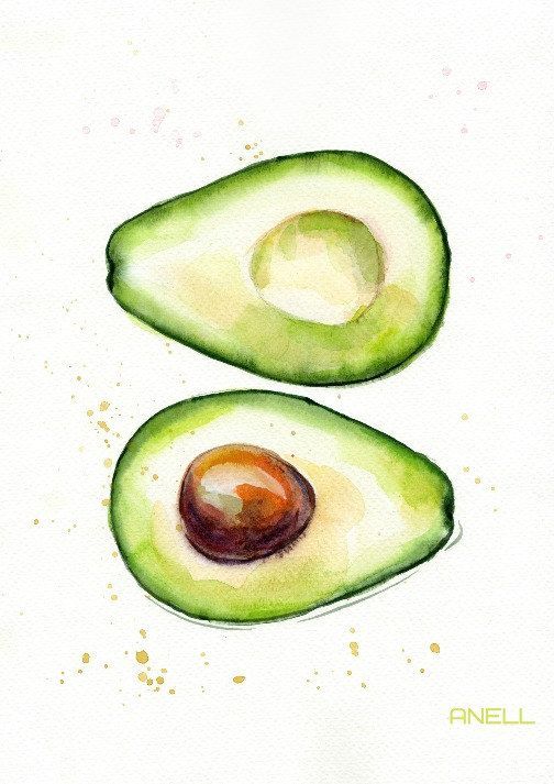 504x713 Set Of 4 Avocado Watercolor Print