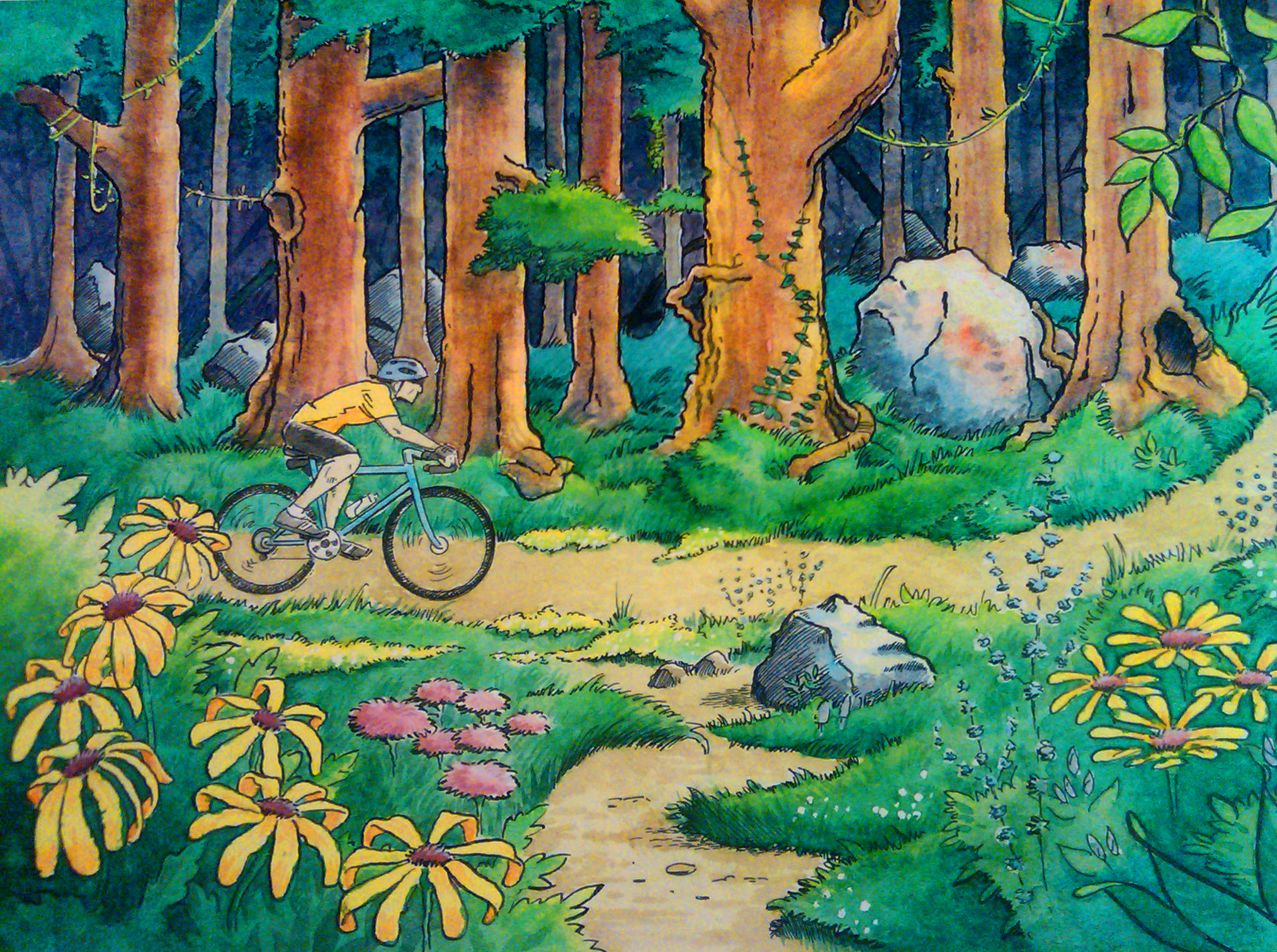 2028x1512 Watercolor Illustration