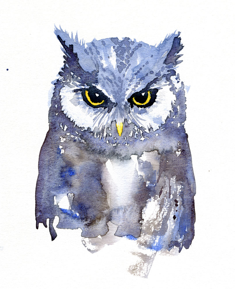 812x1000 Watercolour Paintings Of Animals