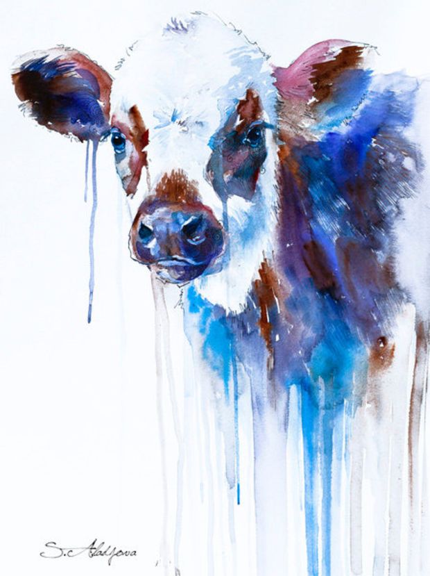620x829 Cow Watercolor Painting Print, Animal, Illustration, Animal