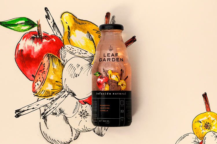 750x500 Leaf Garden Branding Ideas Using Illustrations In Watercolor And