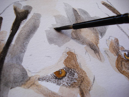 450x338 Mixed Media Tutorial Learn How To Combine Colored Pencils And