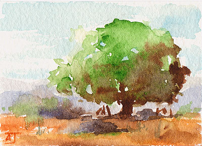 400x289 Andrew Jaster