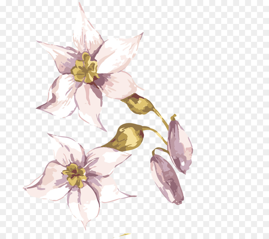 900x800 Download Adobe Illustrator Flower Hand Painted Flowers Beautiful