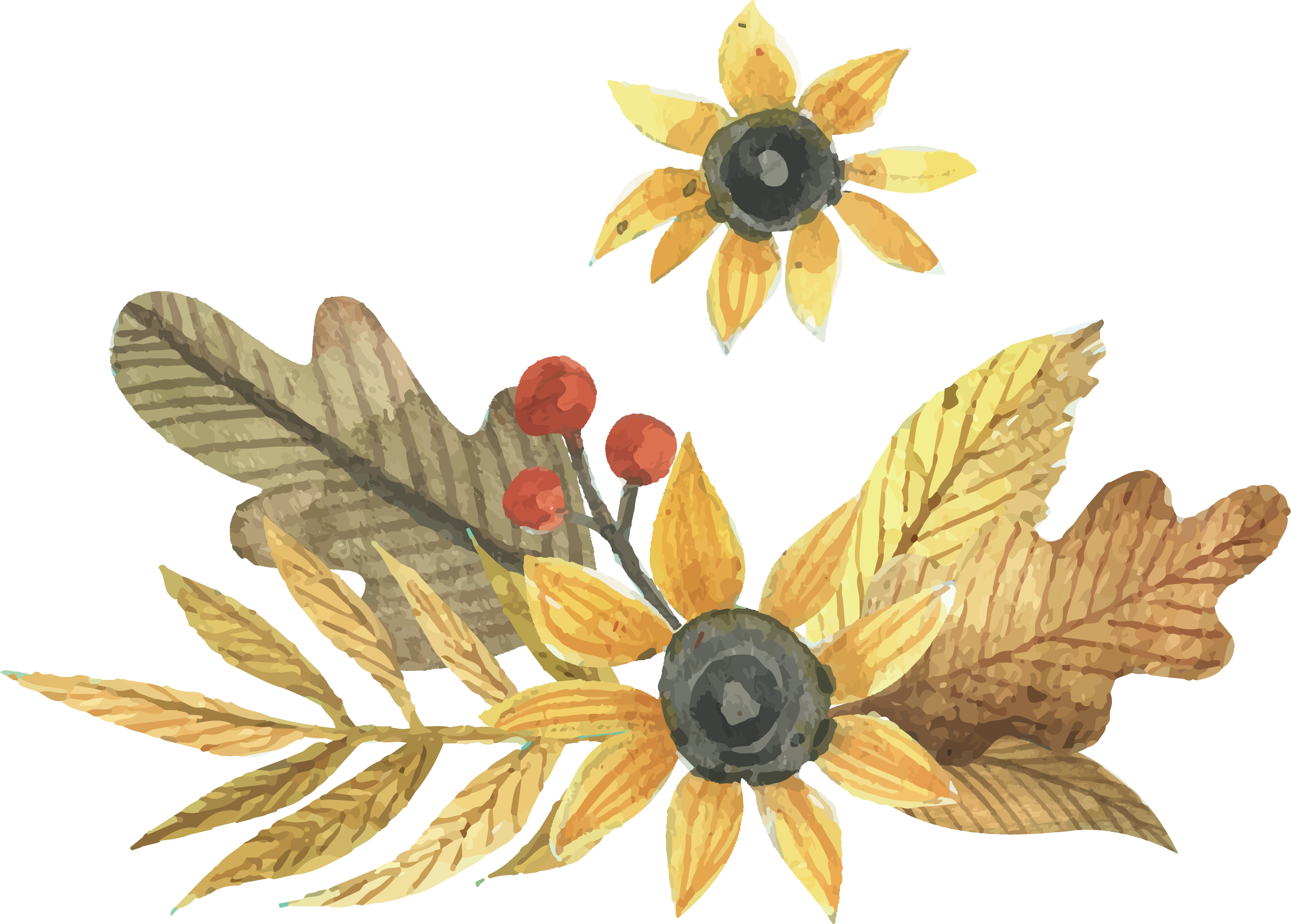 4360x3121 Adobe Illustrator