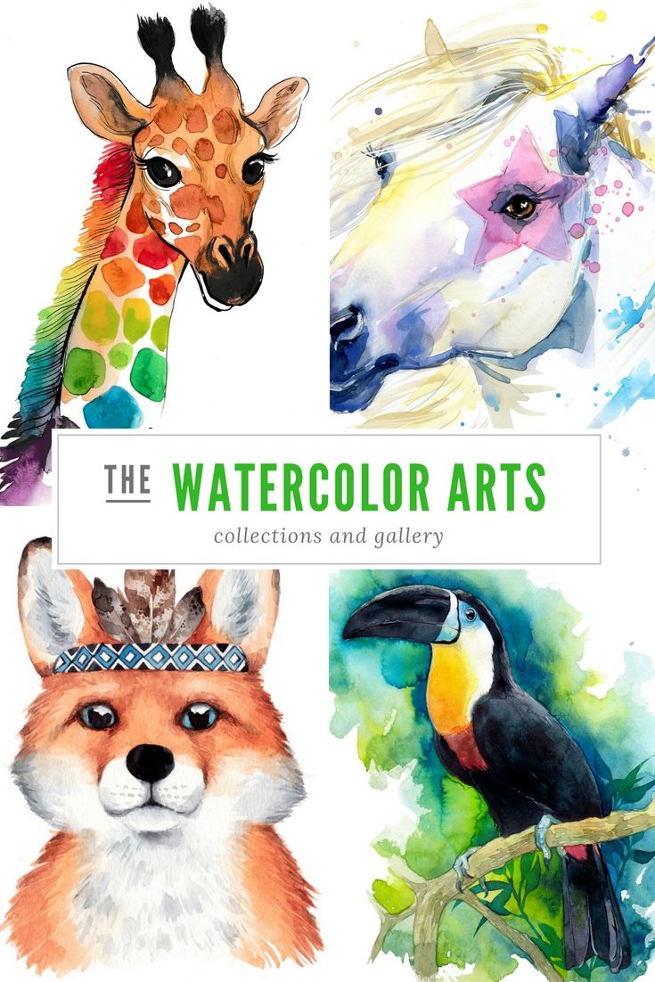 735x1102 13 Perfect Watercolor Arts Albums