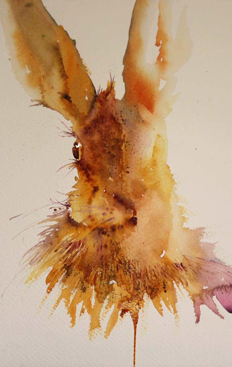 800x1267 Watercolours With Life All Ears 20182019 Usa Workshop Information