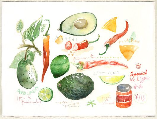 529x400 Guacamole Ingredients My Vegetable Illustrations