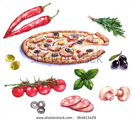 450x414 Hand Drawn Watercolor Illustration Of The Pizza And Different