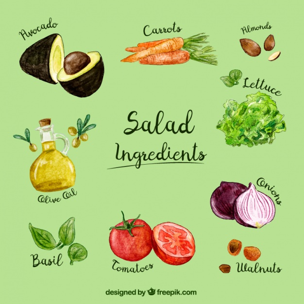 626x626 Salad Watercolor Ingredients Pack Vector Free Download