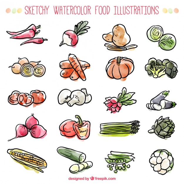 626x626 Sketches Watercolor Ingredients Vector Free Download