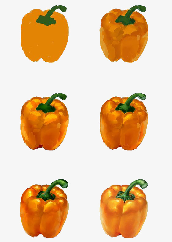 564x793 Watercolor Painting Bell Pepper, Orange, Fig Step, Ingredients Png