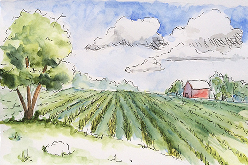 500x333 Learning How To Draw Expressive Lines In Pen, Ink Amp Watercolor