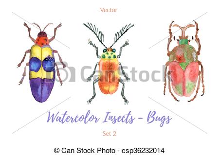 450x319 Set Of Hand Painted Watercolorbugs, Vector. Set Of Colorful, Hand