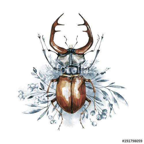 500x500 Watercolor Beetle With Horns On A Floral Background. Animal