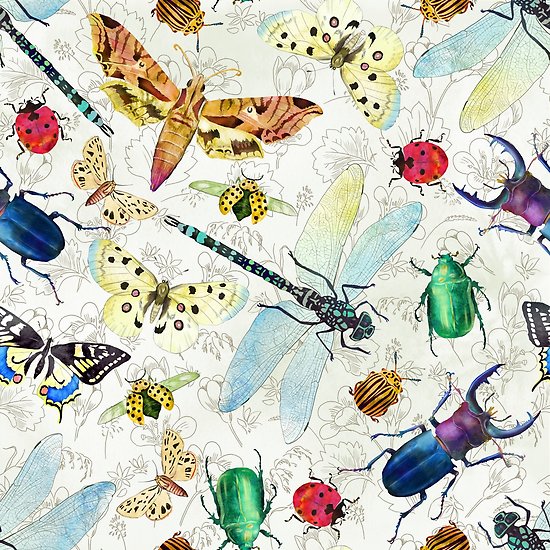 550x550 Watercolor Insects Posters By Gaia Marfurt Redbubble