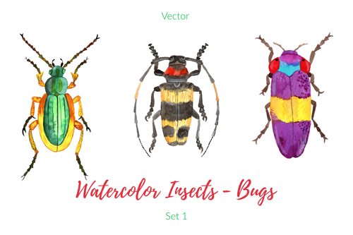 500x333 Watercolor Insects With Bugs Vector 02