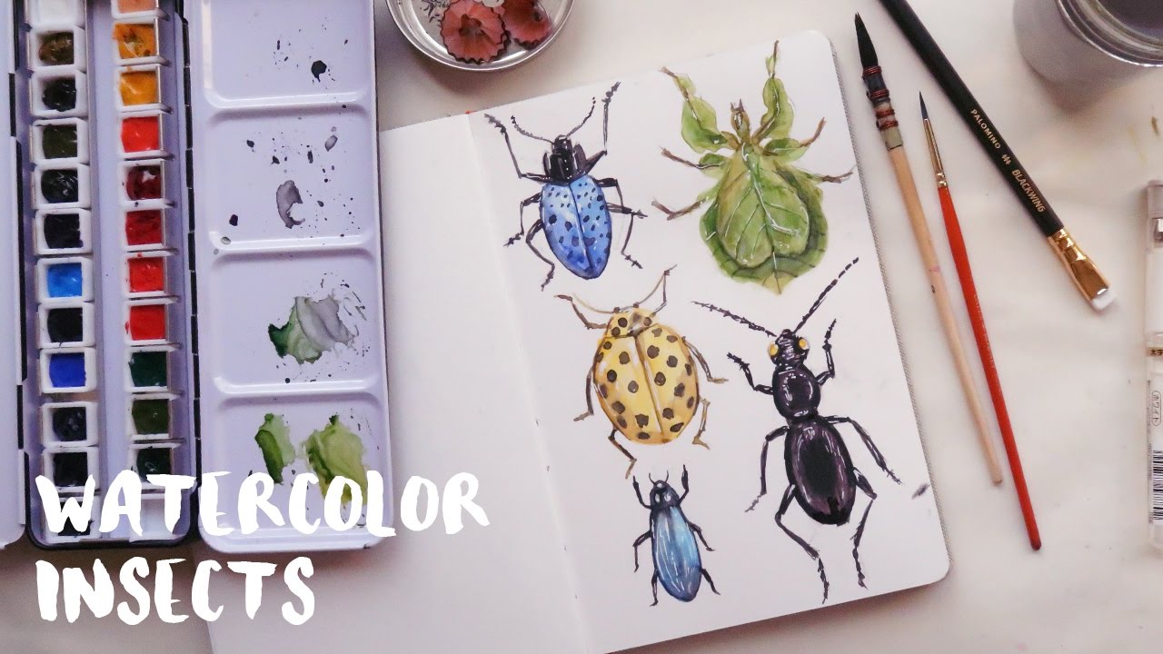 1280x720 Watercolor Insects Aquaril 1