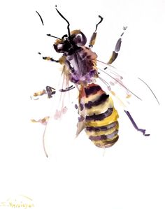 236x299 73 Best Insect Art Images Insect Art, Bug Art And