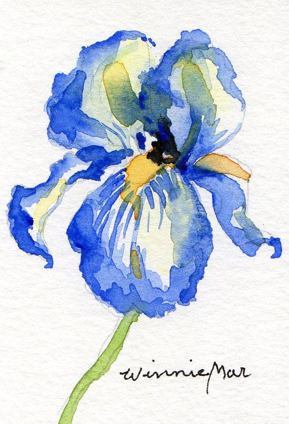 570x836 Blue Iris Aceo Small Original Watercolor On Heavy Watercolor Paper