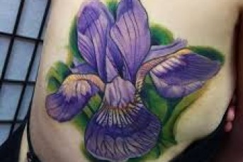 343x228 Iris Flower Tattoo Shoulder