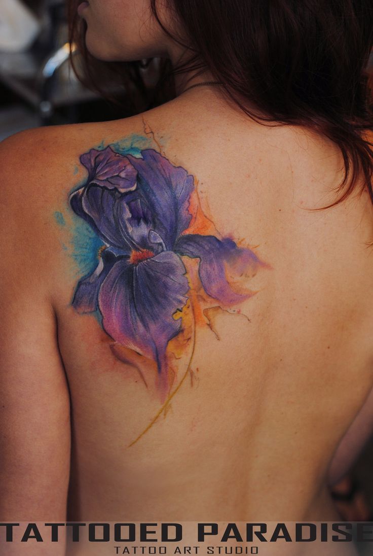 736x1096 Watercolor Iris Flower Tattoo On Girl Left Back Shoulder