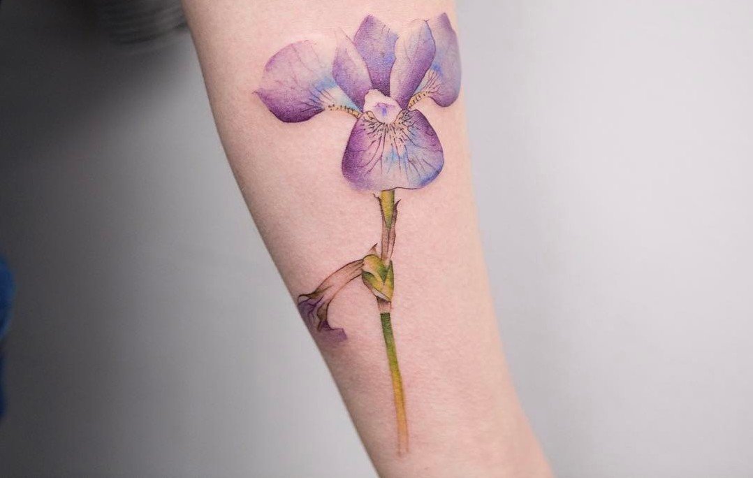 1078x684 22 Grandiose Iris Tattoo Designs And Meanings