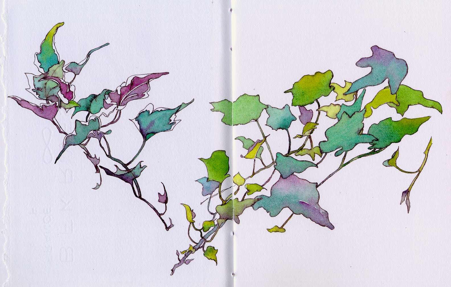 1584x1008 Using Botanical Shapes To Play With Color Chris Carter Artist