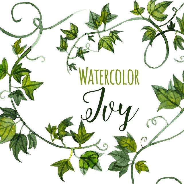 642x642 Watercolor Green Ivy Clipart Ivy Tendrils Illustration Fancy Etsy