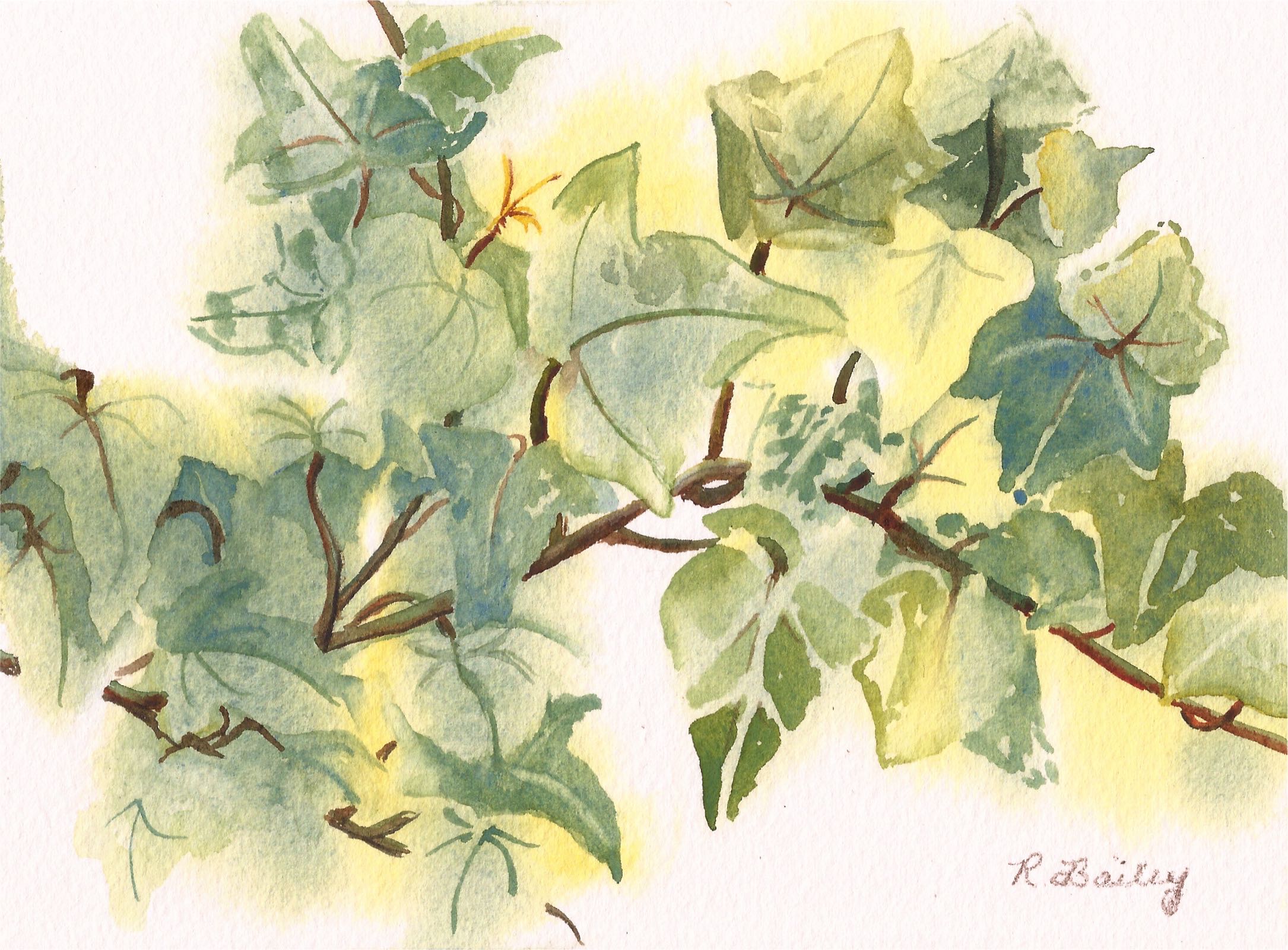 2170x1600 A Sprig Of Ivy Ruth Bailey, Artist