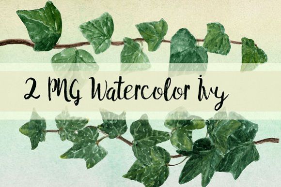 580x387 Watercolor Ivy Clip Art