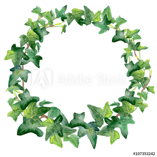 500x500 Watercolor Drawing Of Green Ivy Wreath Isolated On White