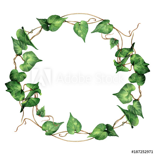 500x500 Watercolor Painting Ivy,green Leaves,palm Leaf Isolated On White