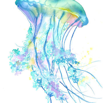 354x354 Original Watercolor Jellyfish Study No. 4 From Jessica Art