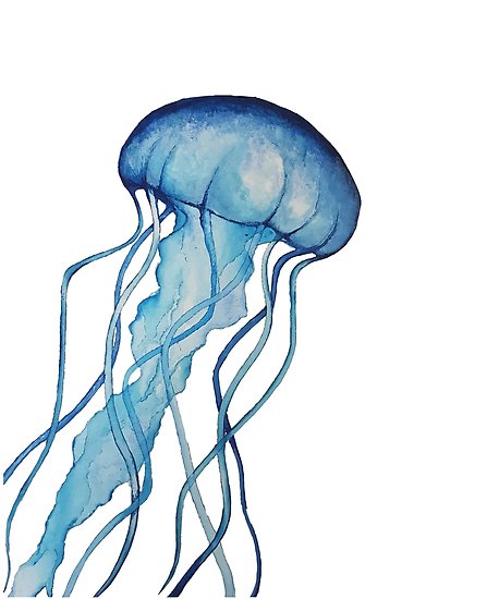 458x550 Watercolor Jellyfish Posters By Megan Grant Redbubble
