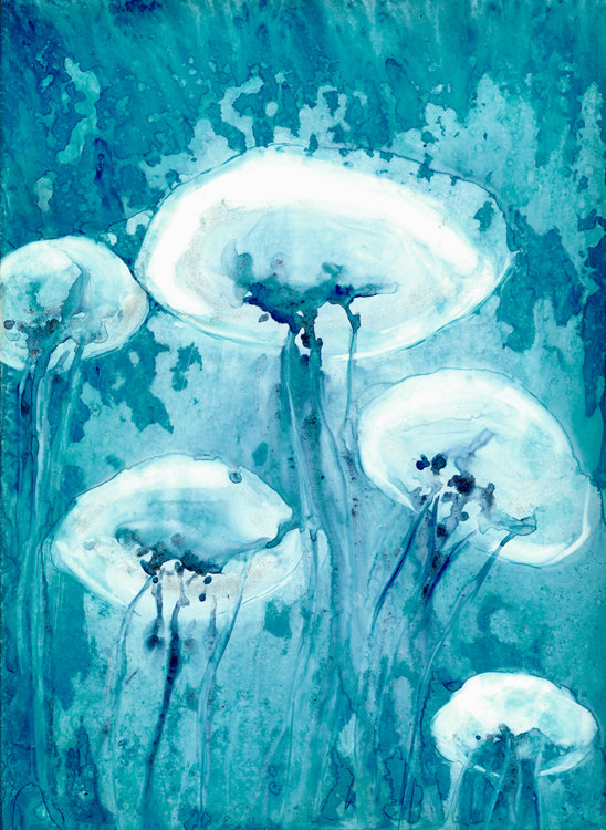 548x750 Jellyfish Art