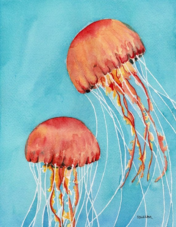 570x735 Jellyfish Painting Watercolor Print Giclee Print Watercolor Etsy