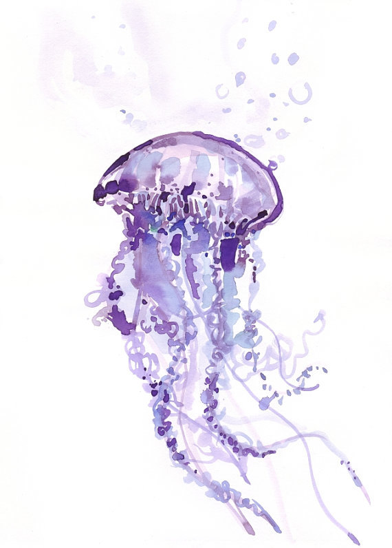 570x796 Jellyfish Painting Watercolor Illustration By Ioana Avram