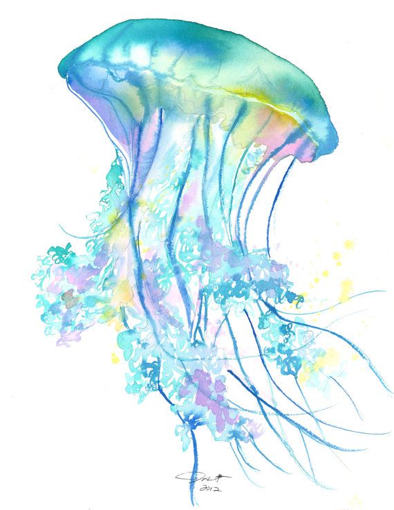 570x738 Original Watercolor Jellyfish Study No. 4 Painting By Jessica