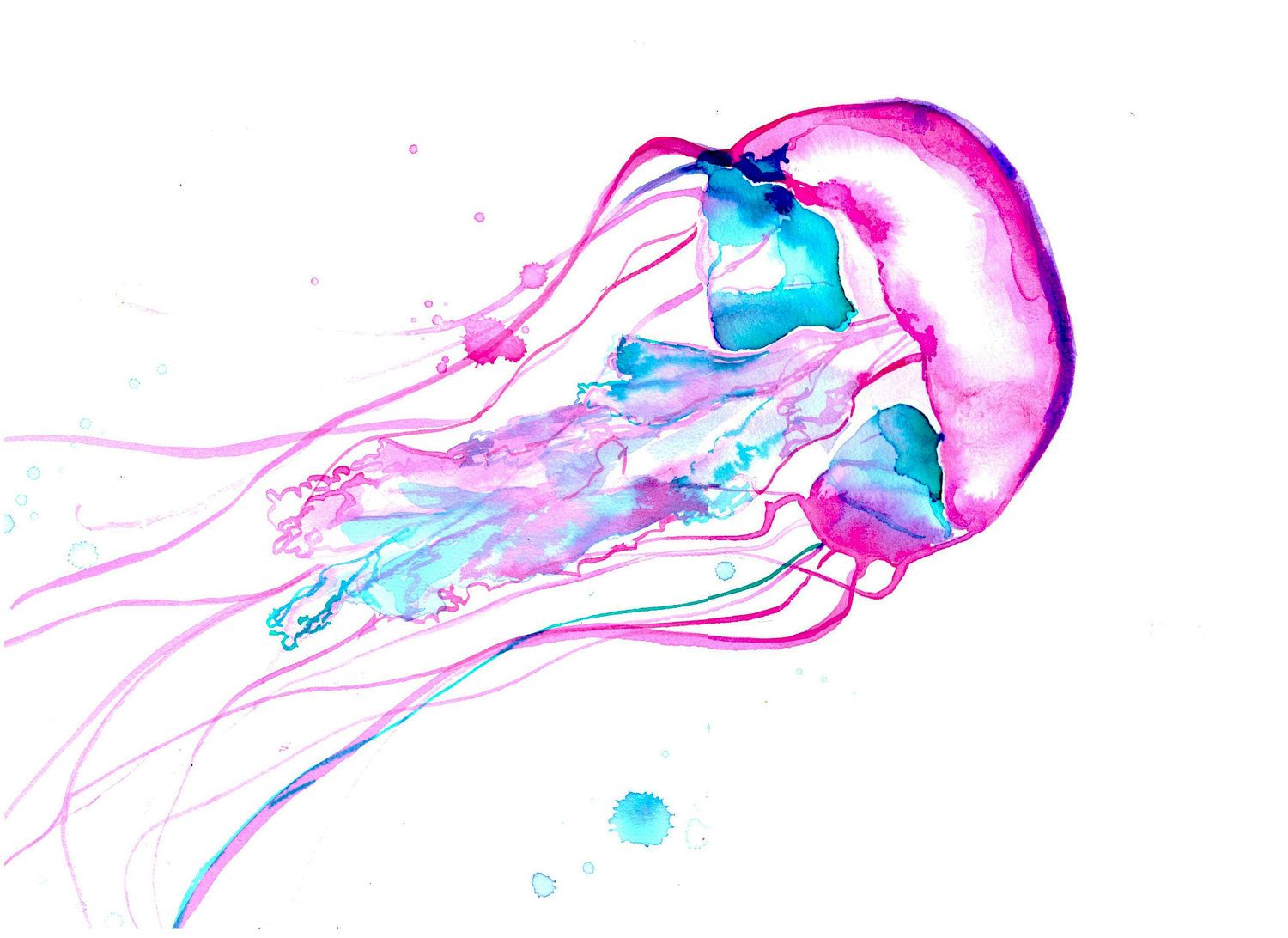 1500x1092 Print From Original Watercolor Jellyfish Study No. 2 By Jessica