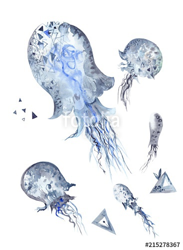 367x500 Watercolor Jellyfish Painting Stock Photo And Royalty Free Images