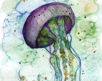 340x270 Watercolor Jellyfish Etsy