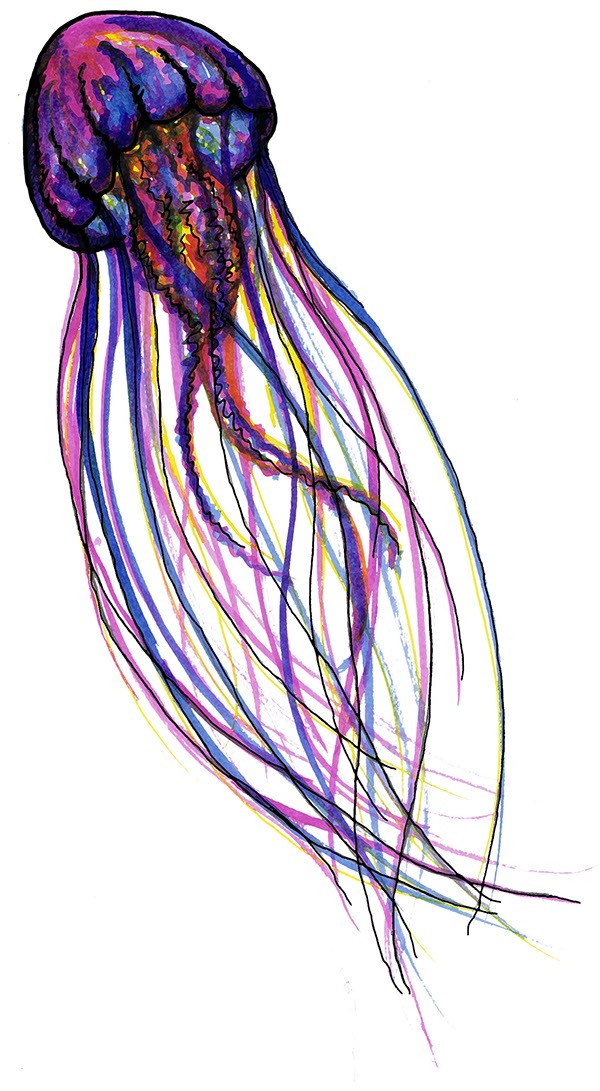 600x1091 Great Rainbow Watercolor Jellyfish Tattoo Design