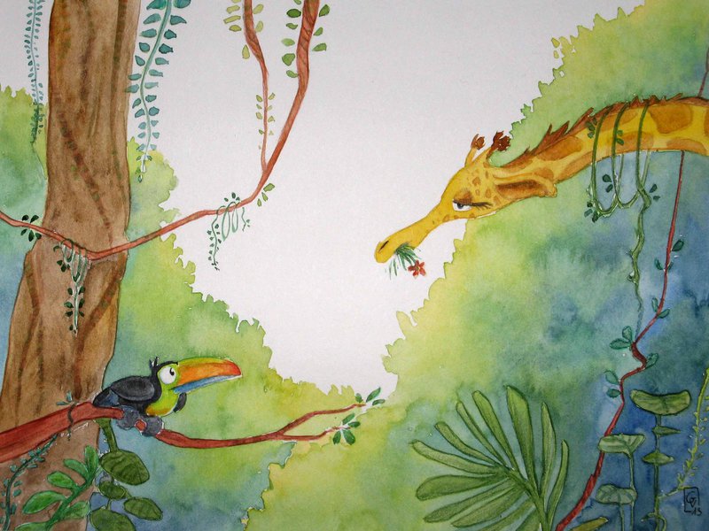 800x600 Jungle Watercolor By Gaellevivier